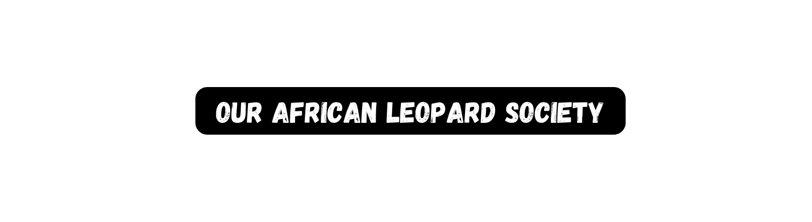 our African leopard Society